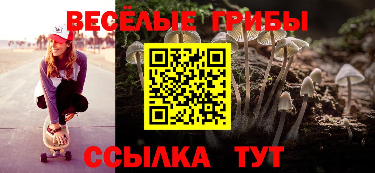 Дзержинск  Галлюциногенные грибы прущие грибы  Галлюциногенные грибы мицелий  цены   Вход с VPN 